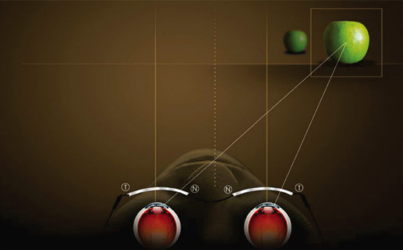 Binocular technology image