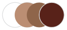 Transitions iconic colour brown icon