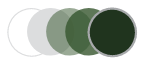 Transitions iconic colour graphite green icon